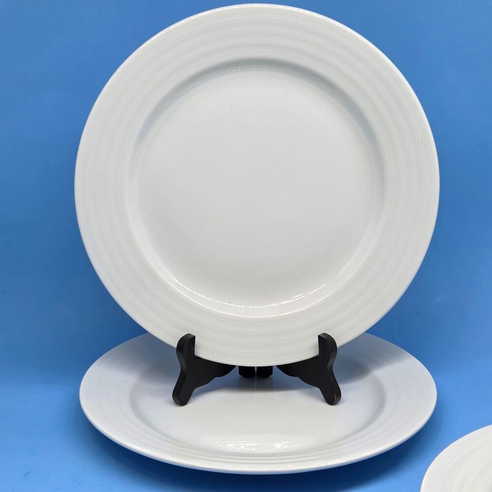 Crate & Barrel White Spal Porcelain Roulette 10.5" Dinner Plates Ring Set of 2